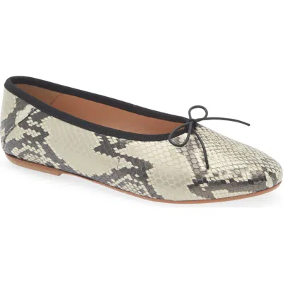 Jack Rogers Carlotta Leather Ballet Flat In Animal Print