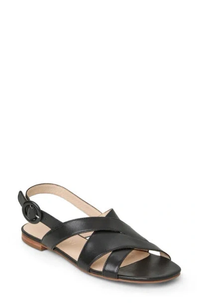 Jack Rogers Erin Slingback Sandal In Black