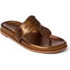 Jack Rogers Jacks Sport Flip Flop In Brown