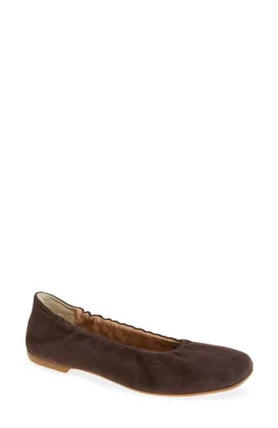 Jack Rogers Santa Maria Ballet Flat In Brown
