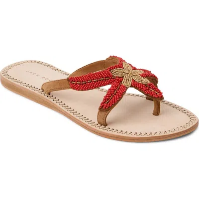 Jack Rogers Starland Sandal In Multi
