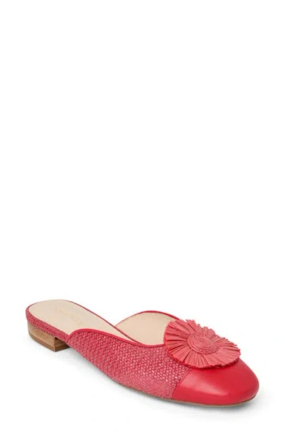 Jack Rogers Tinsley Flat Mule In Animal Print