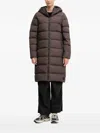 Jack Wolfskin Frozen Palace Hooded Padded Coat In Brown