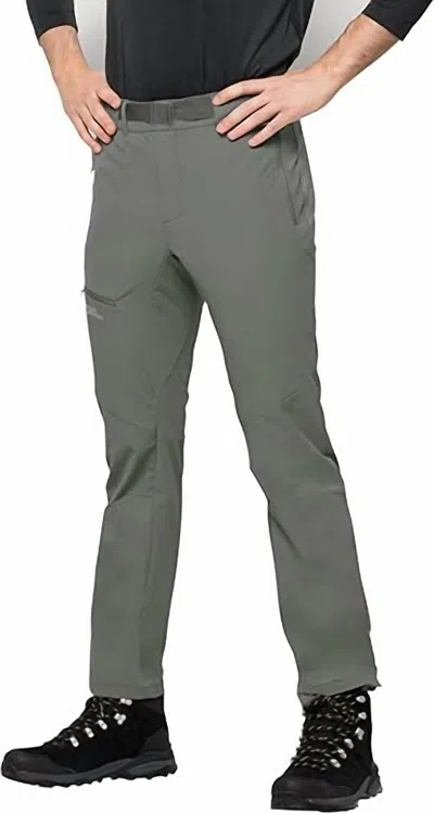 Jack Wolfskin Holdsteig Slim Fit Pants In Green In Gray