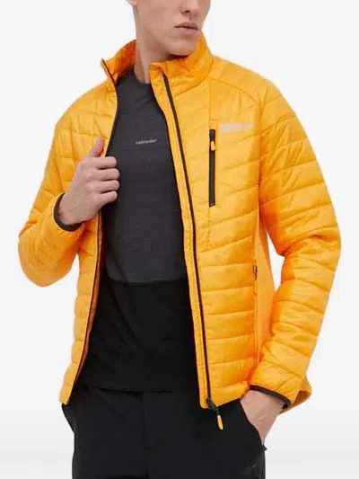 Jack Wolfskin Routeburn Quilted Zip Jacket In Yellow