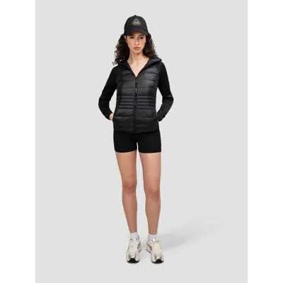 Jack1t Calypso Hybrid Hooded Jacket In Black
