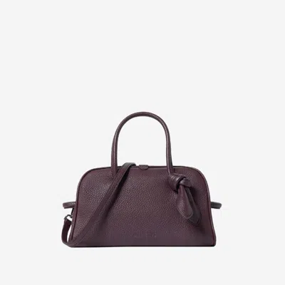 Jacquemus Il Piccolo Turismo Bag In Purple