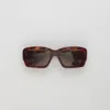 Jacquemus La Croisiere In T-shell/silver/brown In Brown