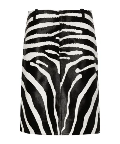 JACQUEMUS JACQUEMUS THE TOZZI A-LINE ZEBRA SKIRT
