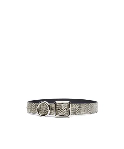 JACQUEMUS REGALO BELT