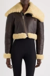 Jacquemus The Aviatore Asymmetric Aviator Jacket In Brown