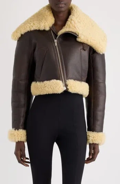 Jacquemus The Aviatore Asymmetric Aviator Jacket In Dark Brown