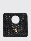 Jacquemus Celine Chestnut Brown Calf Leather Classique Triomphe Bag In Black
