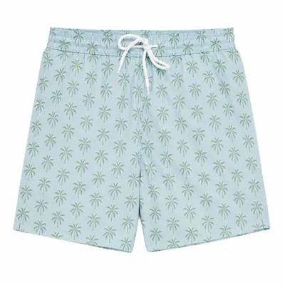 Jacques Zolty Blue / Green Kai Mens Swimwear Palms Green Sky Blue In Blue/green