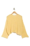 Jacquie The Label Regina Crop Sweater In Gold