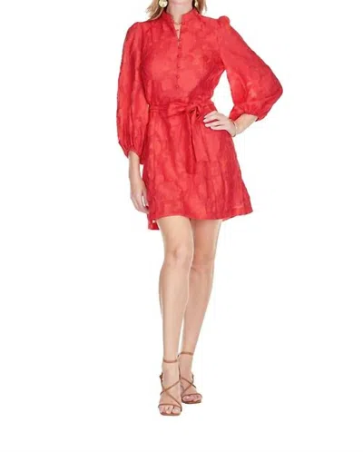Jade A-line Dress In Red