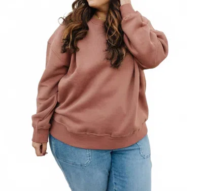 Jade By Jane Ruth Pullover Top In Brown