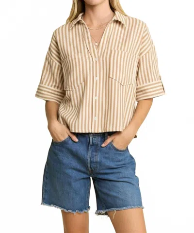 Jade By Jane Stripe Collar Short Sleeve Shirt In Latte In Multi