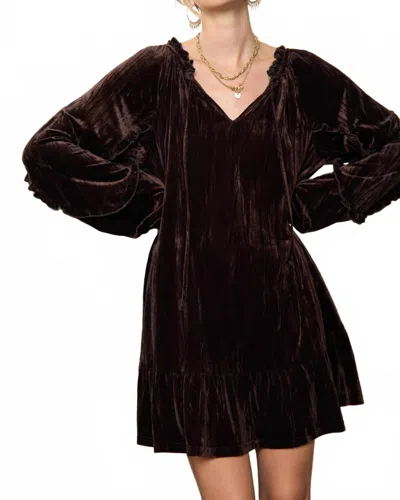 Jade By Jane Women's Crushed Velvet Mini Dress In Dark Brown