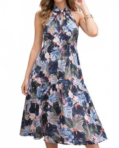 Jade Halter Dress In Toucan Jungle In Multi