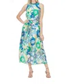 Jade Pleated Neck Maxi Dress In Dahilias In Multi