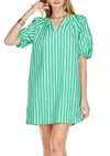 Jade Pleated Sleeve Dress In Green Stripe In Green