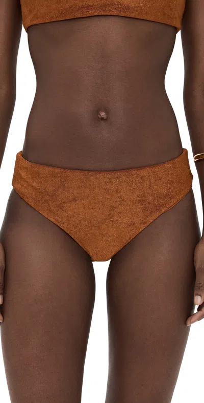 Jade Swim Most Wanted Bikini Bottoms In Brown
