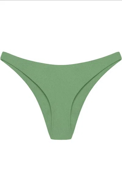 Jade Swim Women's Most Wanted Bikini Bottom In Basil Sheen In Multi