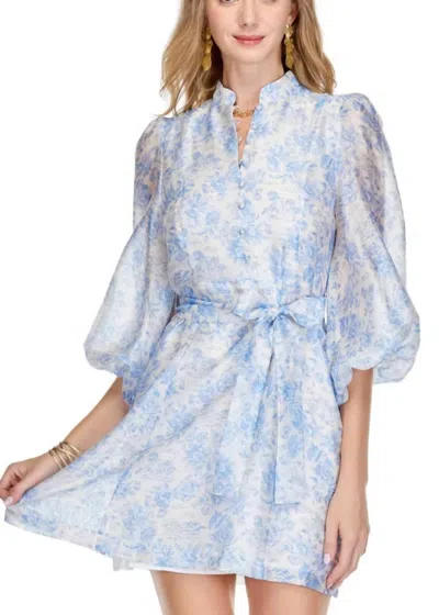 Jade Women's Stand Collar A-line Dress In Blue Bashful Garden