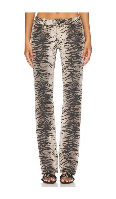 Jaded London Bootcut In Tiger Print