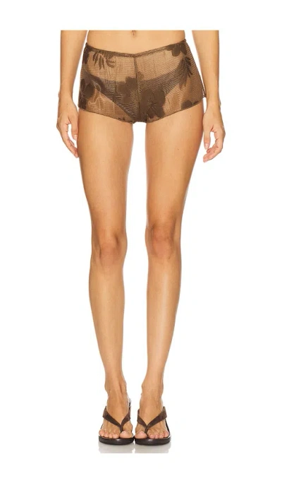 Jaded London Celina Sheer Mini Short In Brown