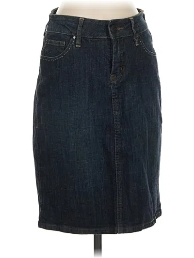 Pre-owned Jag Denim Skirt In Blue