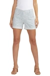 Jag Jeans Alex Stripe Shorts In Railroad Stripe