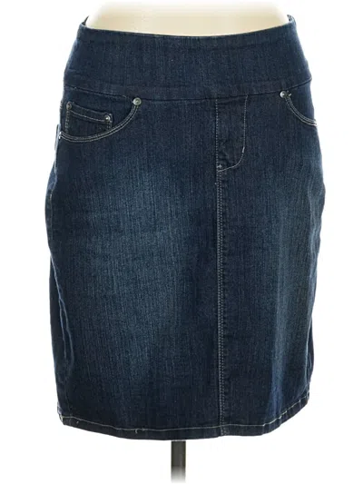 Pre-owned Jag Jeans Denim Skirt In Blue