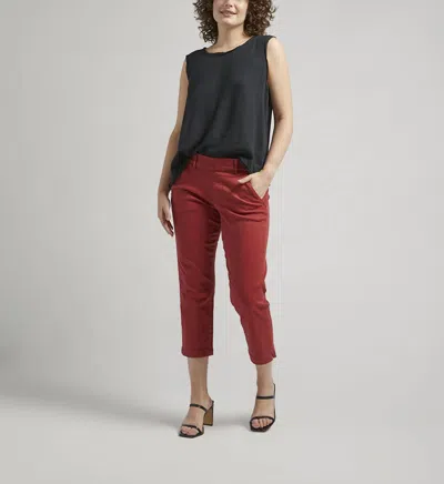 Jag Maddie Capri Pants In Rose In Multi