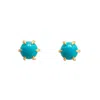 Jagged Halo Jewelry Women's Gold Jolene Turquoise Micro Stud Earrings