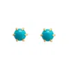 Jagged Halo Jewelry Women's Jolene Micro Stud Earrings In Turquoise In Blue