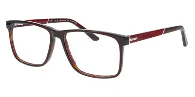 Jaguar 31034 8940 Occhiali Da Vista Tartarugatishell Per Uomo (solo Montatura) In Brown
