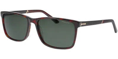 Jaguar 37126 8940 Men's Sunglasses Tortoiseshell Size 58 In Brown