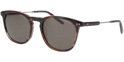 Jaguar 37287 Polarized 5499 Men's Sunglasses Brown Size 53 In Black