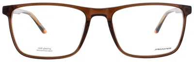 Jaguar Jg31525 Eyeglasses In Matte Brown - Demo
