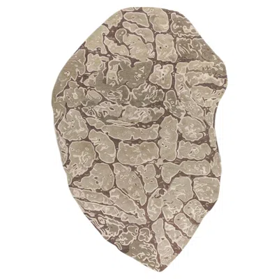 Pre-owned Jaipur Rugs 6x9 Feet Hand Tufted Carpet Wool & Viscose Modern Beige & Brown Rug