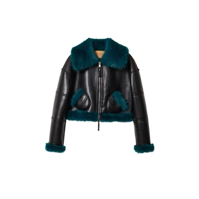 Jakke Women's Black / Blue Aviator Cropped Jacket - Black Teal In Black/blue
