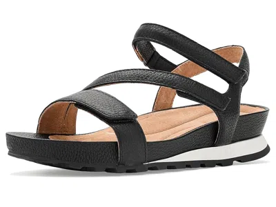 Jambu Liza In Black