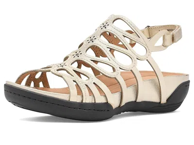 Jambu Miriam In Gold