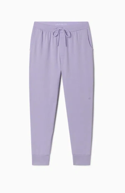 Jambys Chilluxe Jogger In Lavender