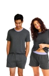 Jambys House Shorts In Gray/lavender