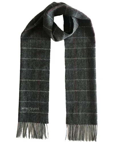 James Cavolini Italy Men's Cashmere Wool Plaid Scarf In Black