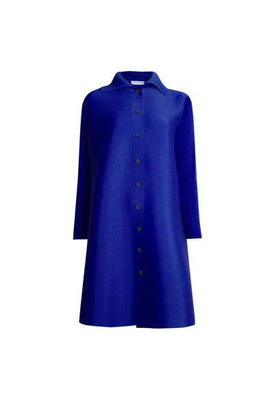 James Lakeland Women's Blue Pleated Royal Dress