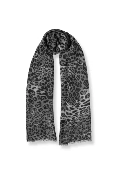 James Lakeland Women's Leopard Print Black Scarf